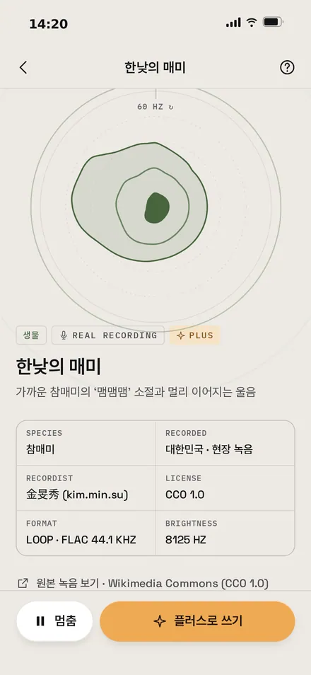톤 · 매미(실제 녹음)