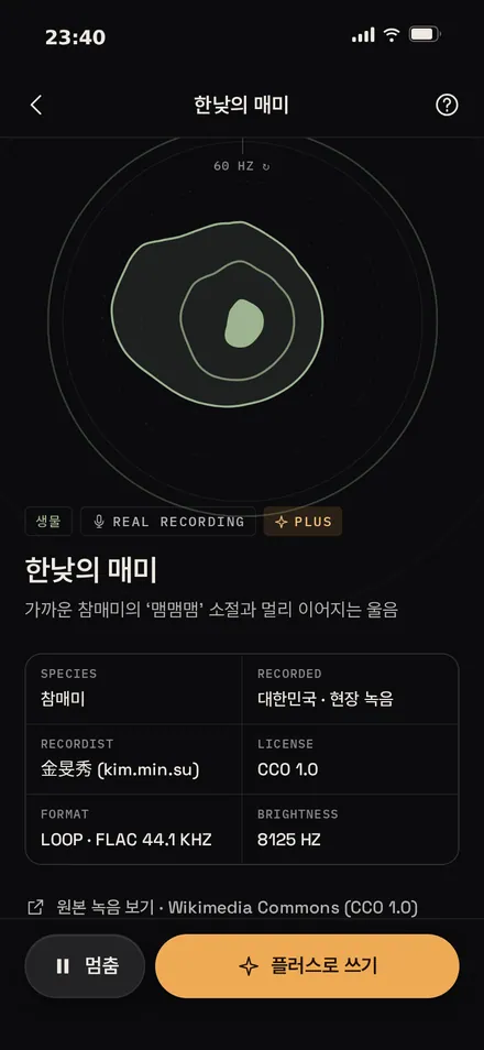 톤 · 매미(실제 녹음)