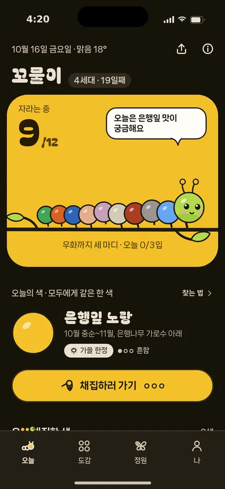 오늘