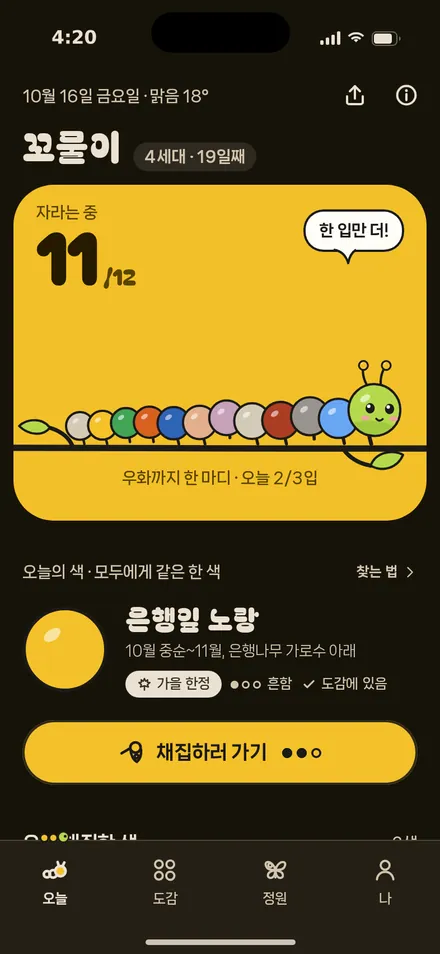오늘 · 11마디