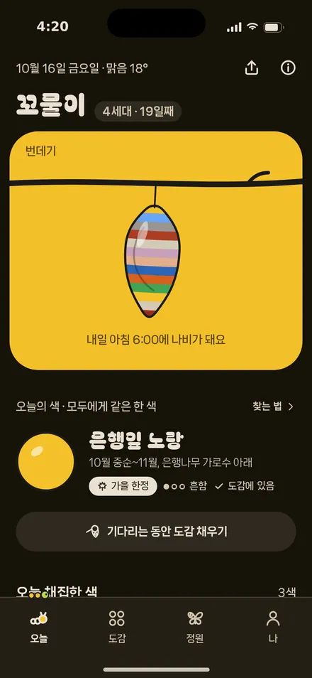 오늘 · 번데기