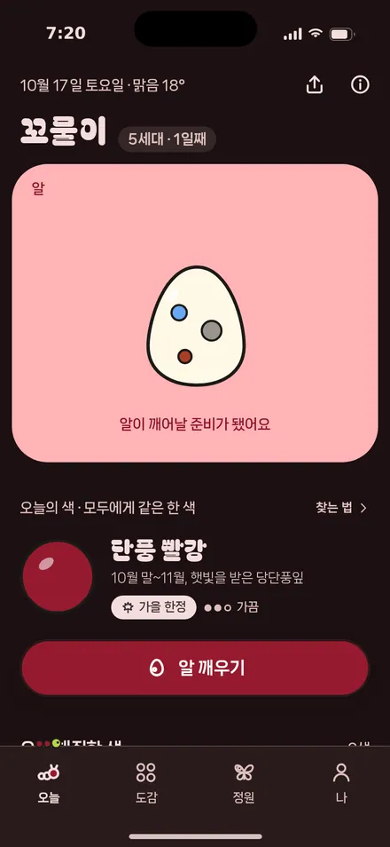 오늘 · 새 알