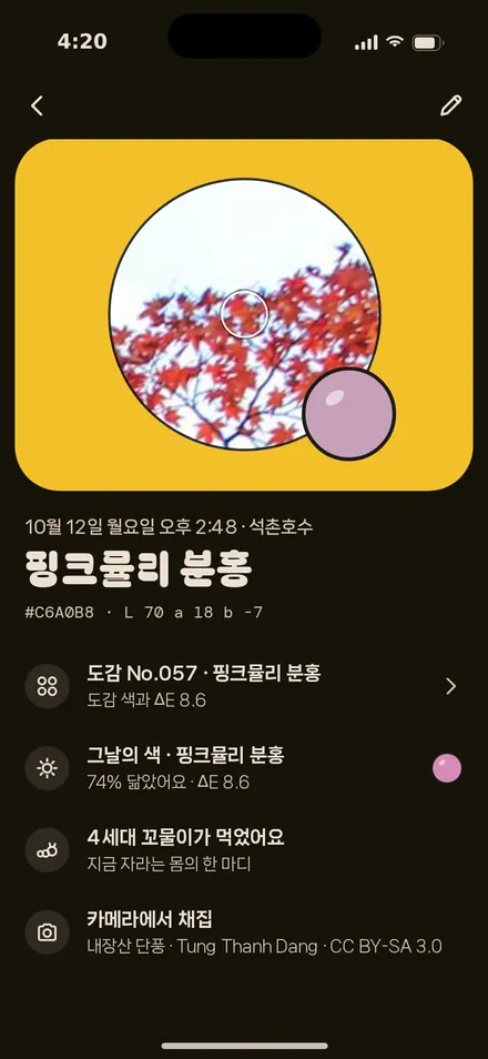 채집 기록