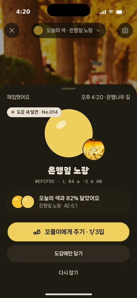 채집 결과