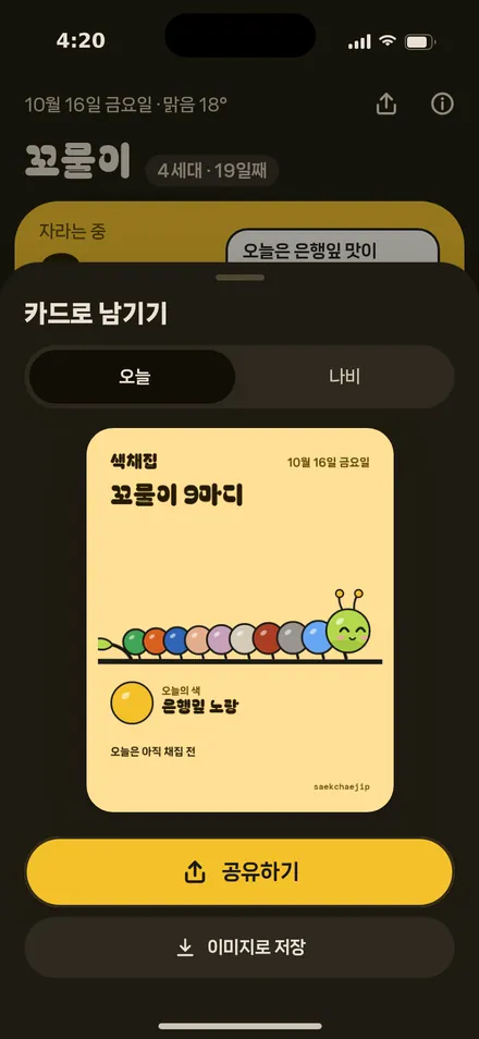 공유 카드 · 오늘