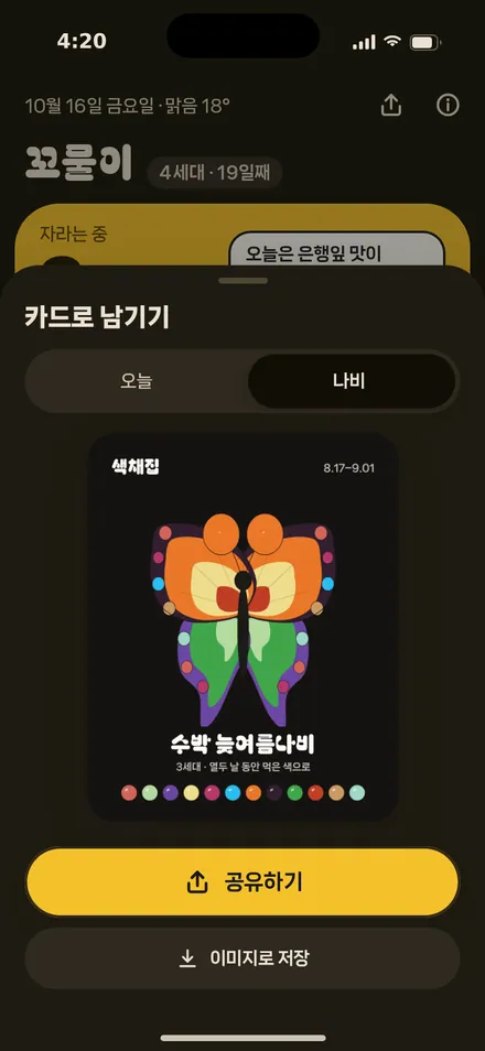 공유 카드 · 나비