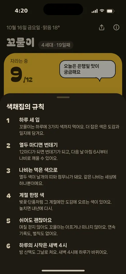 규칙