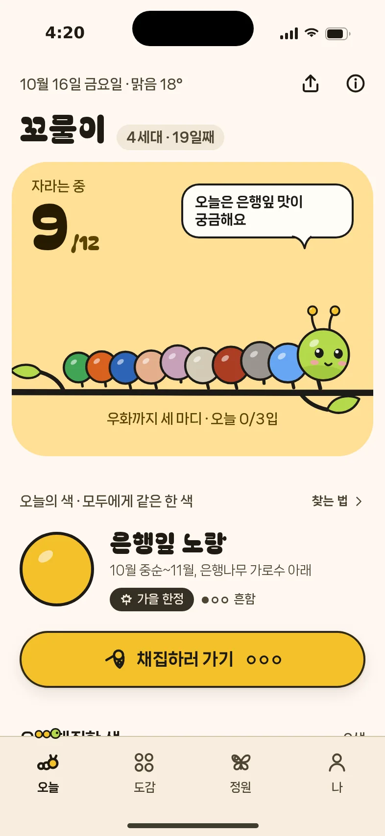 오늘