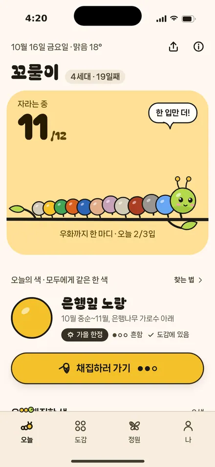 오늘 · 11마디