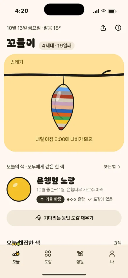 오늘 · 번데기