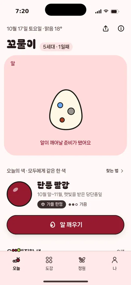 오늘 · 새 알