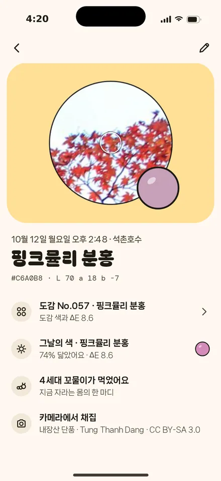 채집 기록