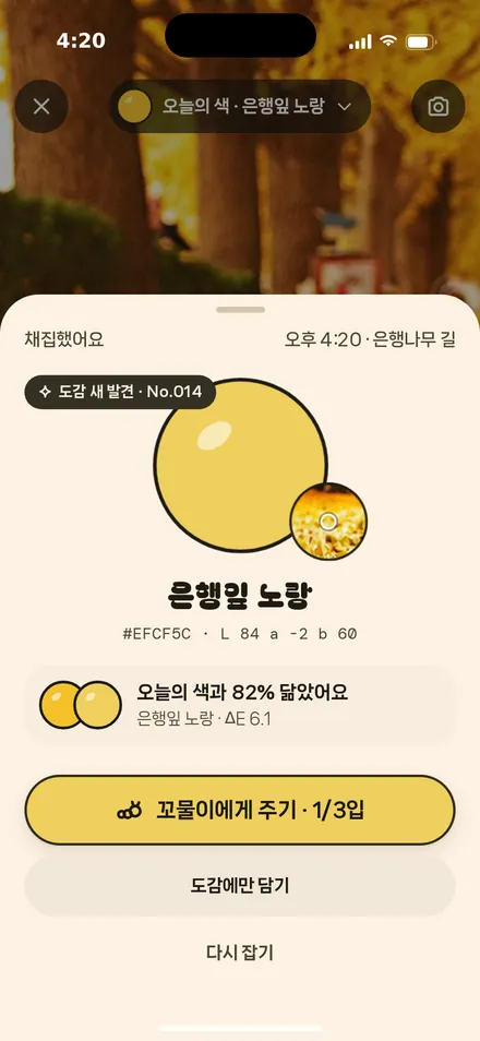 채집 결과