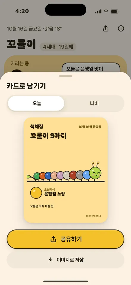 공유 카드 · 오늘
