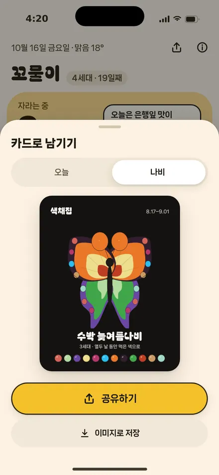 공유 카드 · 나비