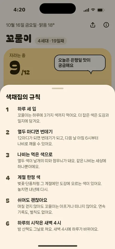 규칙